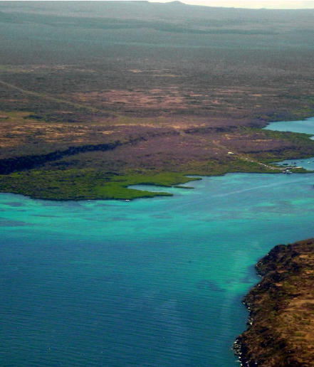 Galapagos Islands