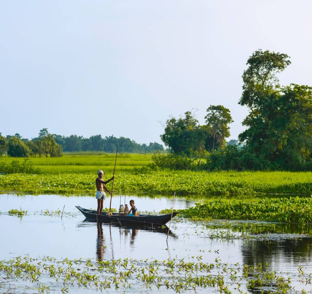 Majuli