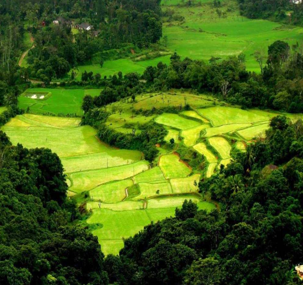 Coorg