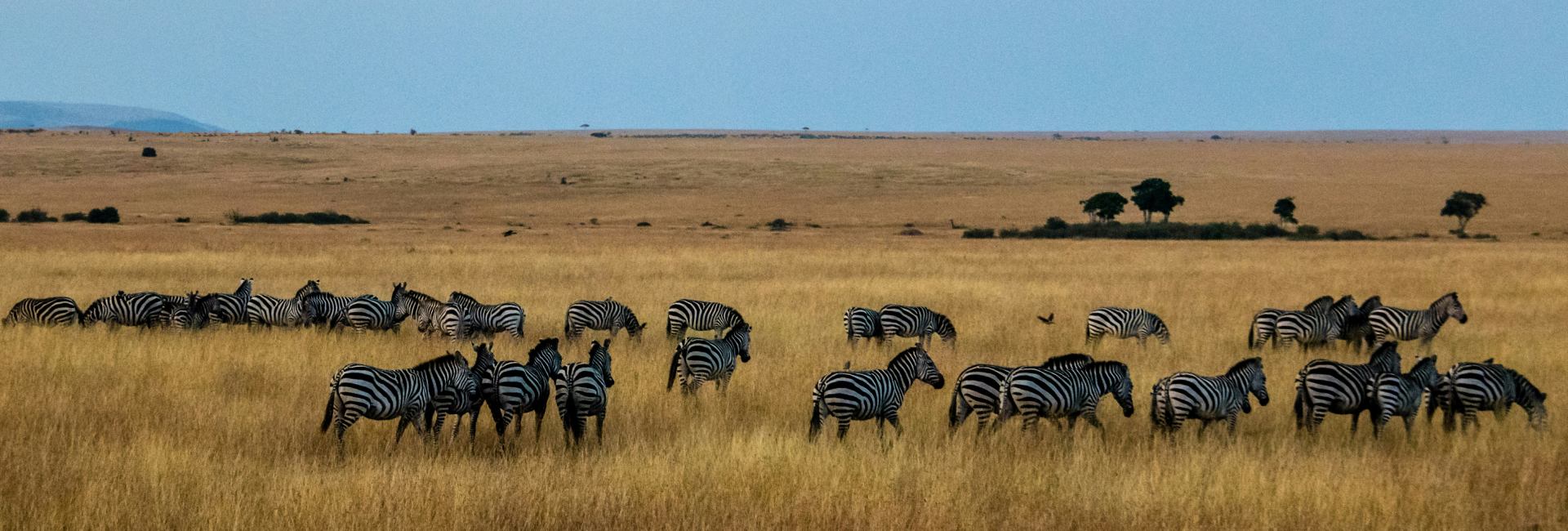 Kenya