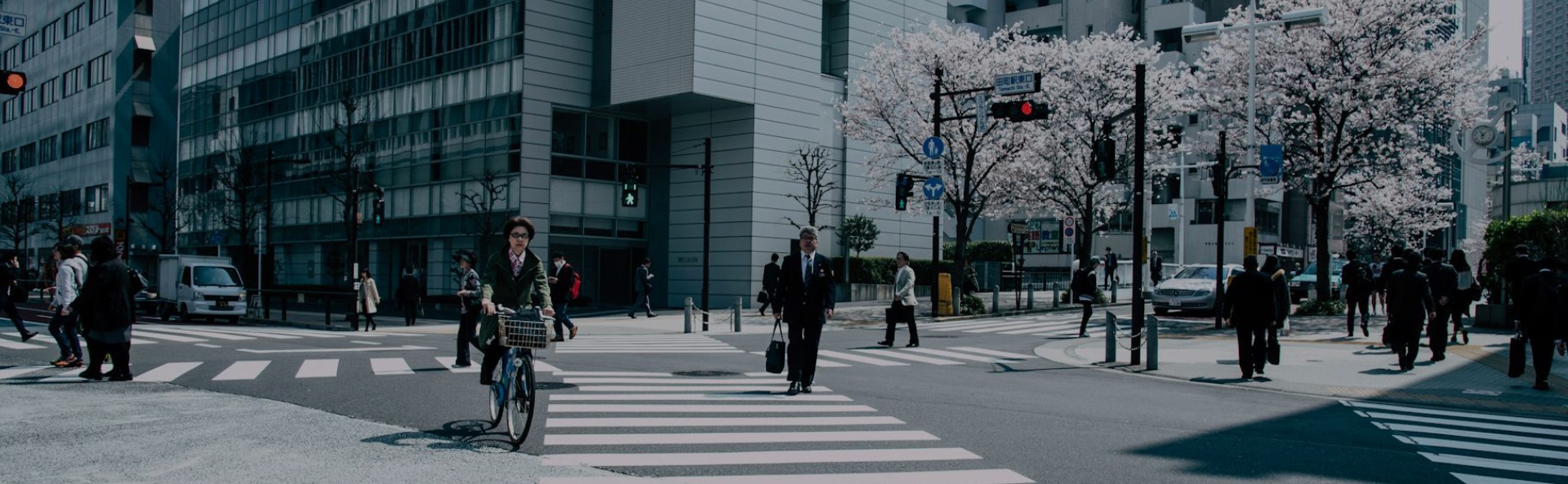 Japan 9N/10D