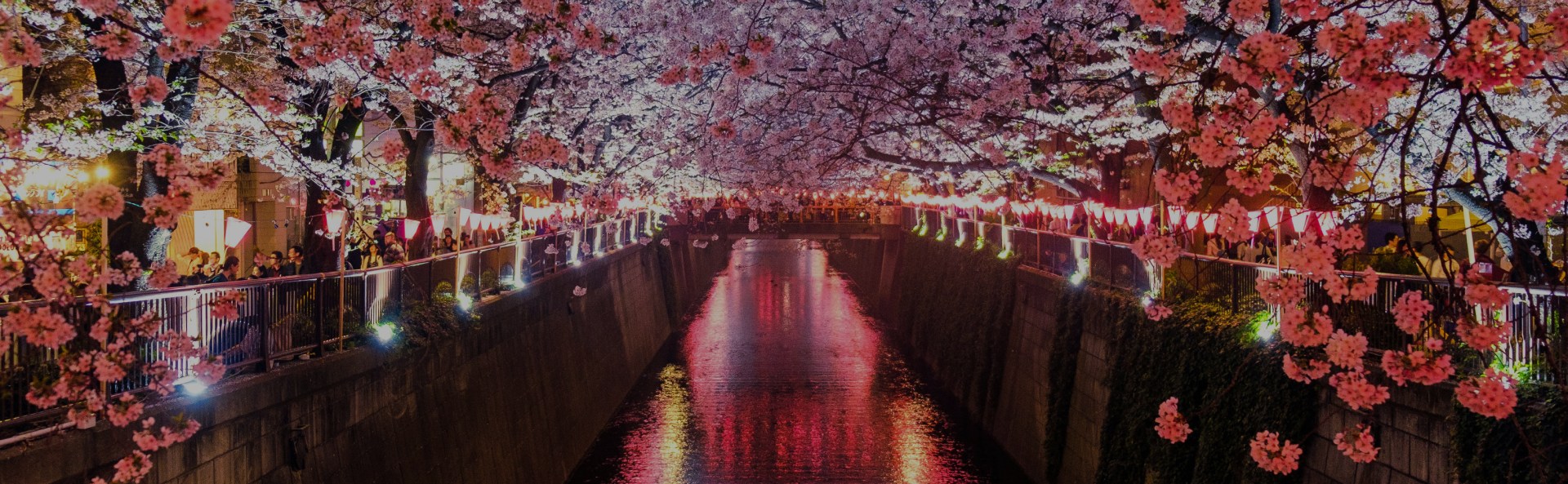 Japan 10N/11D