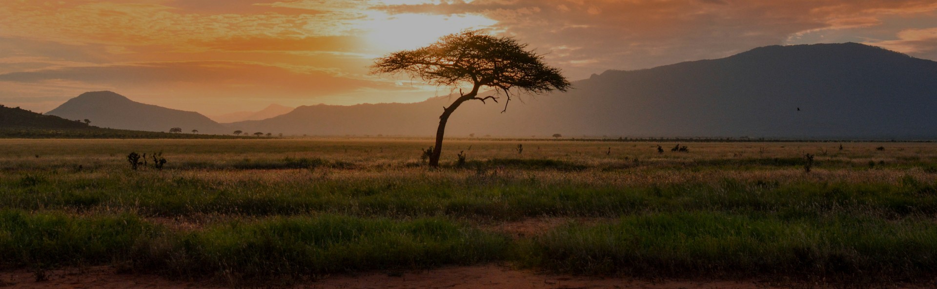 Intro to Kenya