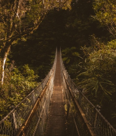 New Zealand 10 Nights / 11 Days
