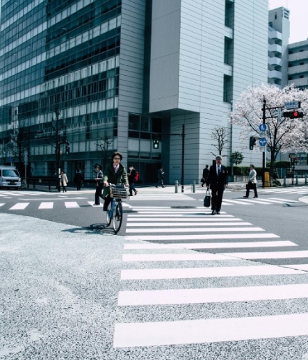 Japan 9N/10D
