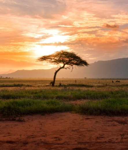 Intro to Kenya