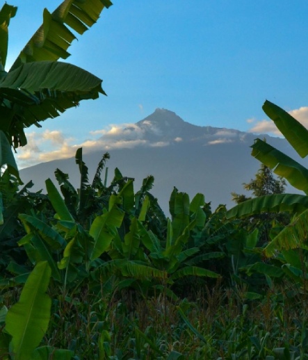Kenya and Tanzania
