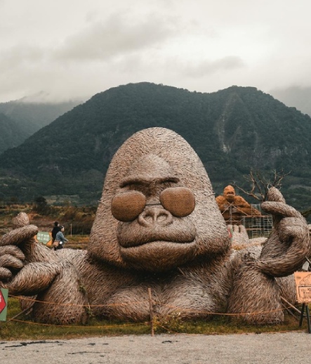 Rwanda Gorilla Experience
